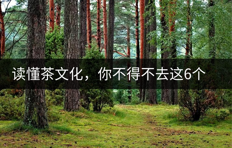 讀懂茶文化，你不得不去這6個城市