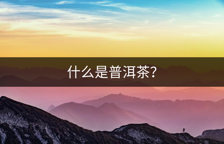 什么是普洱茶？
