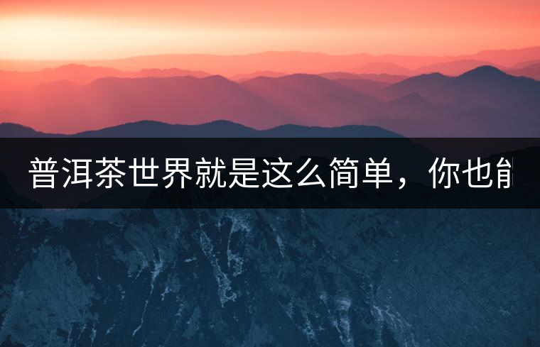 普洱茶世界就是這么簡單，你也能懂！