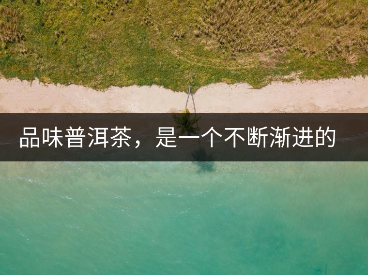 品味普洱茶，是一個不斷漸進(jìn)的過程