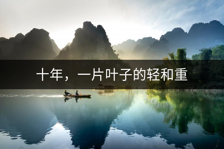 十年，一片葉子的輕和重