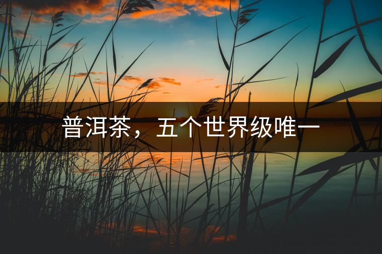 普洱茶，五個世界級唯一