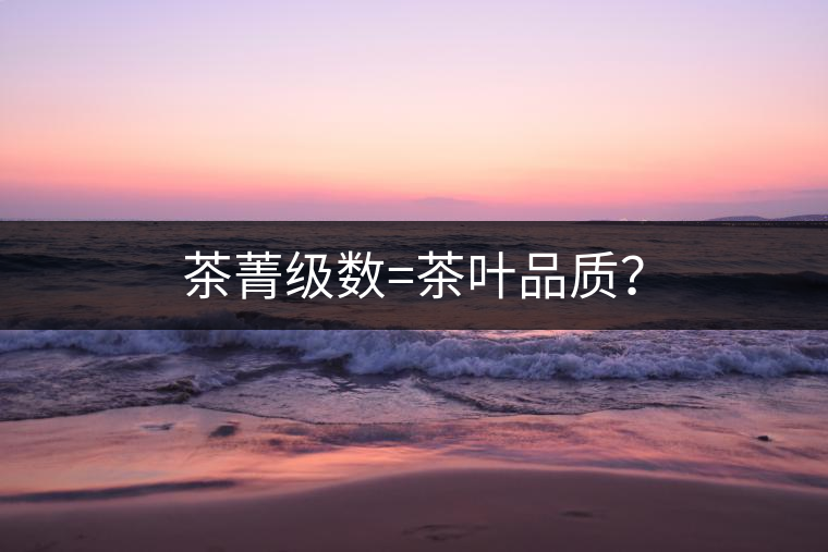 茶菁級數(shù)=茶葉品質？