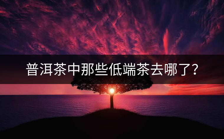 普洱茶中那些低端茶去哪了？