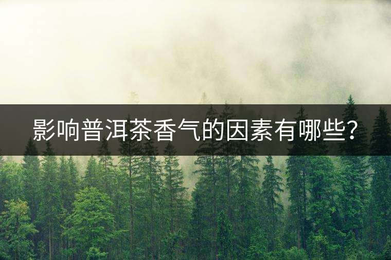 影響普洱茶香氣的因素有哪些？