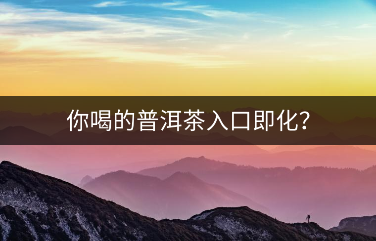 你喝的普洱茶入口即化？