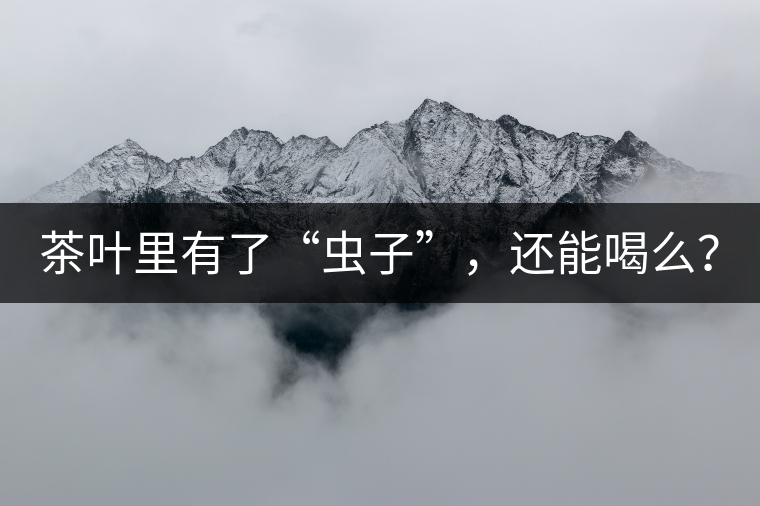 茶葉里有了“蟲(chóng)子”，還能喝么？