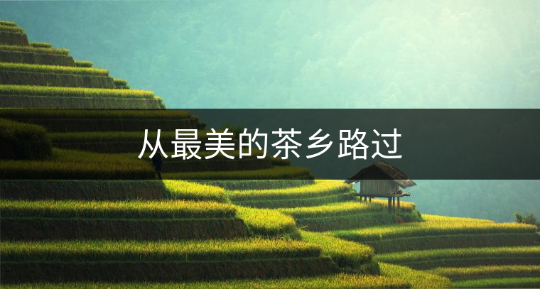 從最美的茶鄉(xiāng)路過 從最美的茶鄉(xiāng)路過