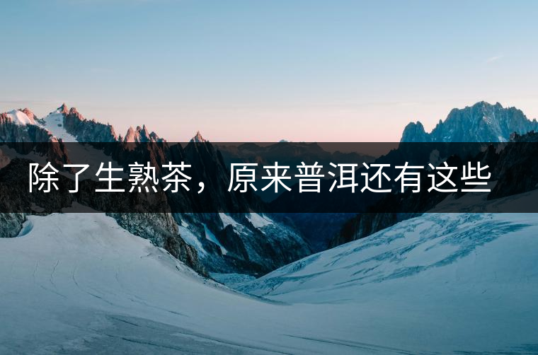 除了生熟茶，原來普洱還有這些鮮為人知的“寶貝”！