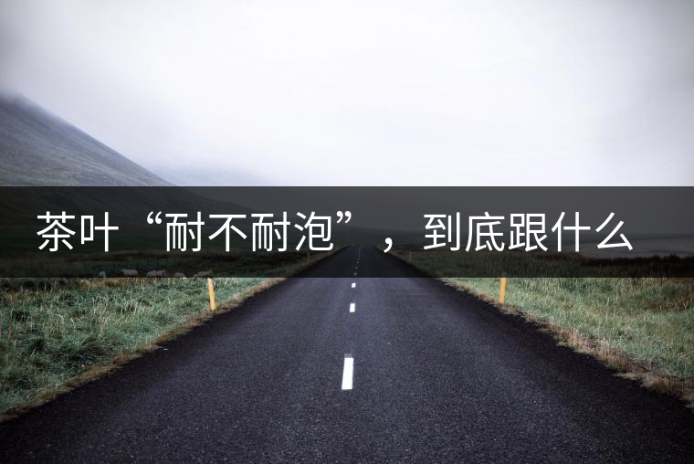 茶葉“耐不耐泡”，到底跟什么有關(guān)？