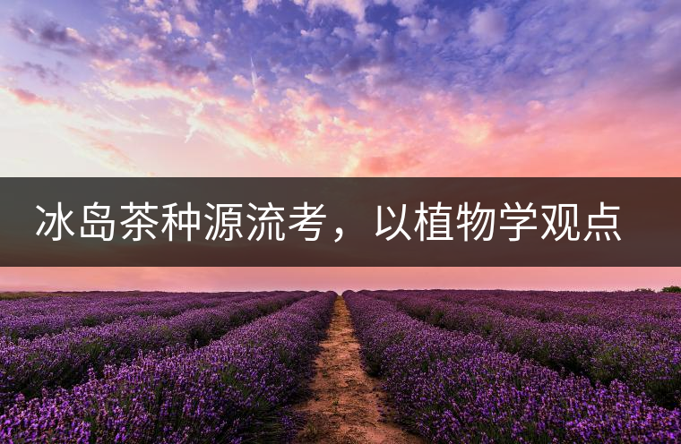 冰島茶種源流考，以植物學(xué)觀點(diǎn)解讀冰島茶