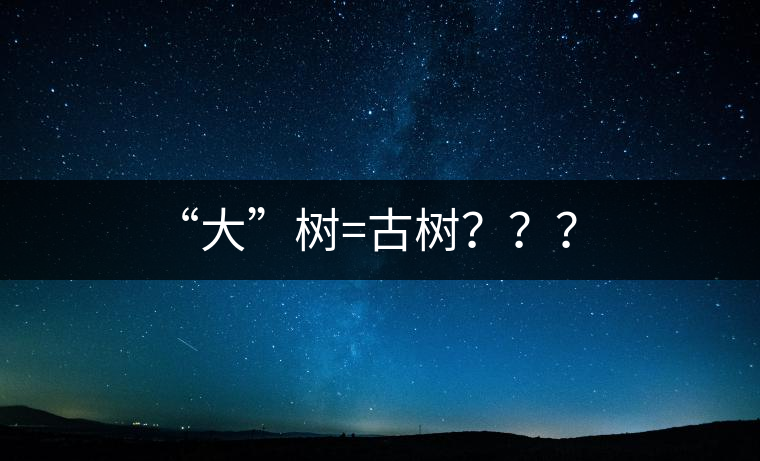 “大”樹=古樹？？？