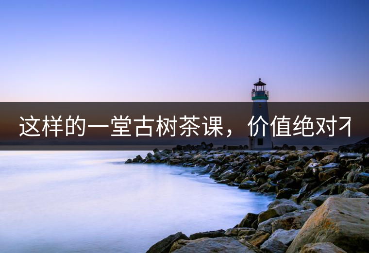 這樣的一堂古樹茶課，價值絕對不止998