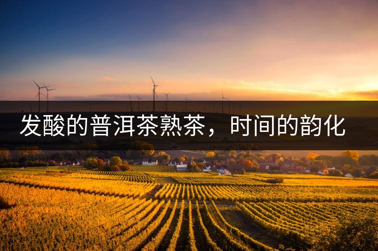 發(fā)酸的普洱茶熟茶，時間的韻化會讓它驚艷無比！