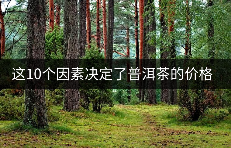 這10個(gè)因素決定了普洱茶的價(jià)格？