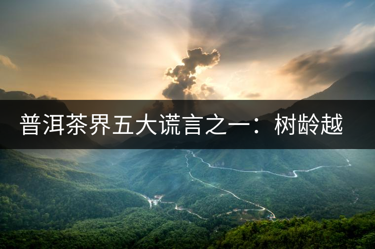 普洱茶界五大謊言之一：樹齡越高，品質(zhì)越好