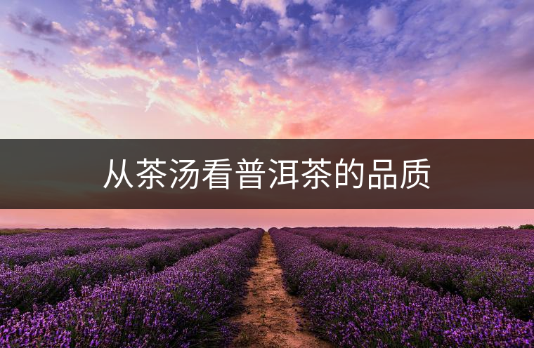 從茶湯看普洱茶的品質(zhì)