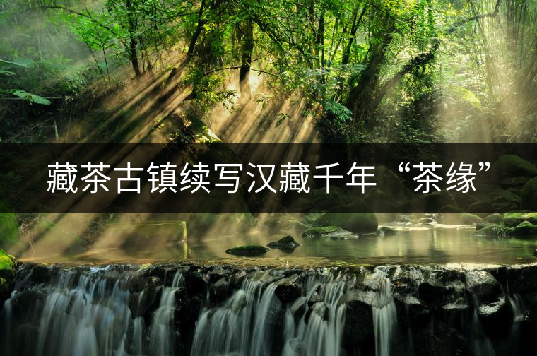 藏茶古鎮(zhèn)續(xù)寫(xiě)漢藏千年“茶緣”