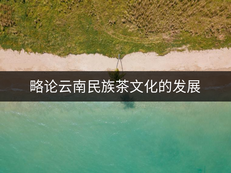 略論云南民族茶文化的發(fā)展