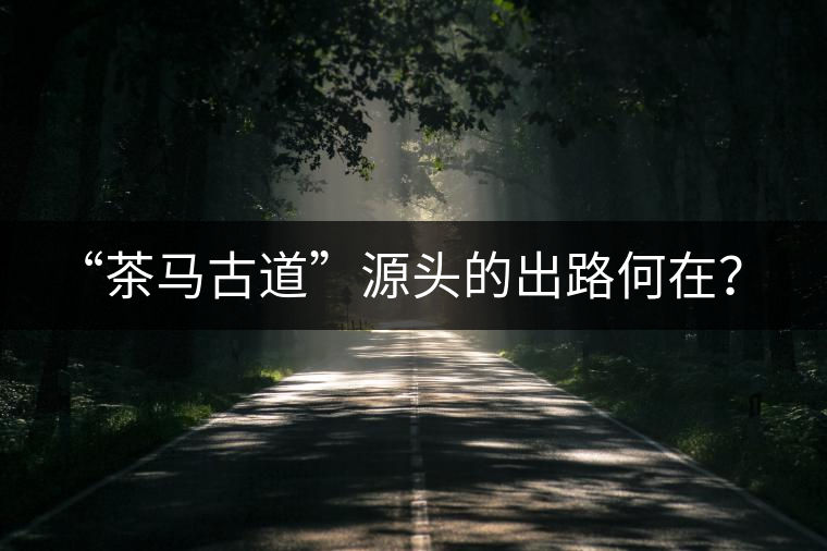 “茶馬古道”源頭的出路何在？