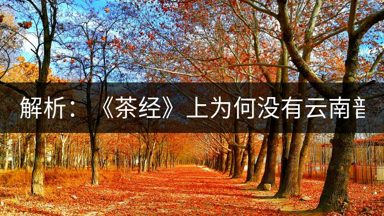 解析：《茶經(jīng)》上為何沒有云南普洱茶 ？