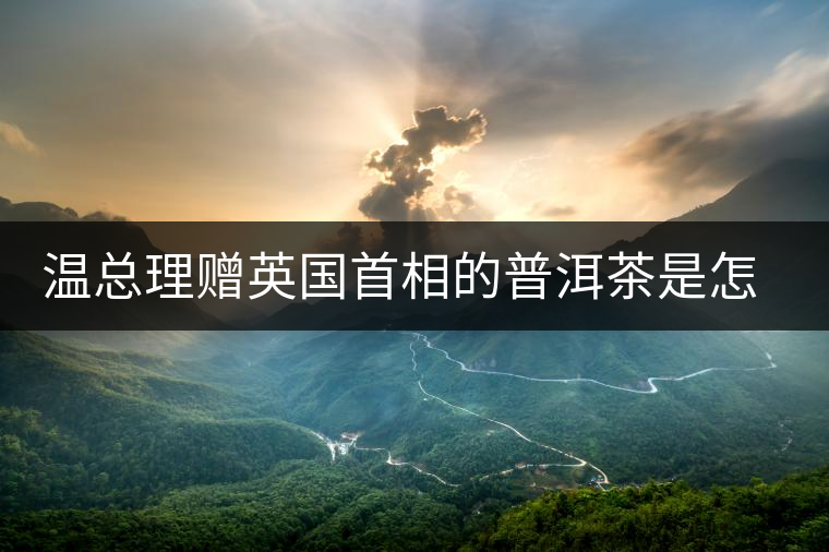 溫總理贈英國首相的普洱茶是怎么制作的？