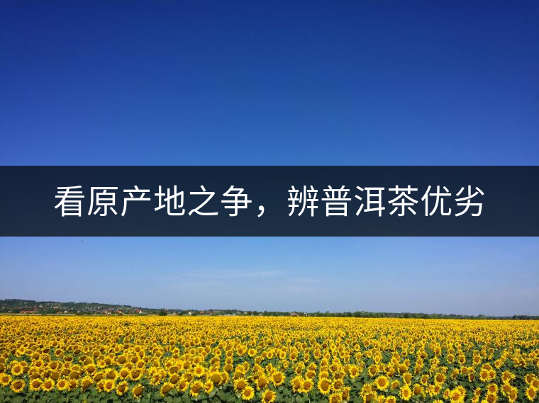 看原產(chǎn)地之爭，辨普洱茶優(yōu)劣