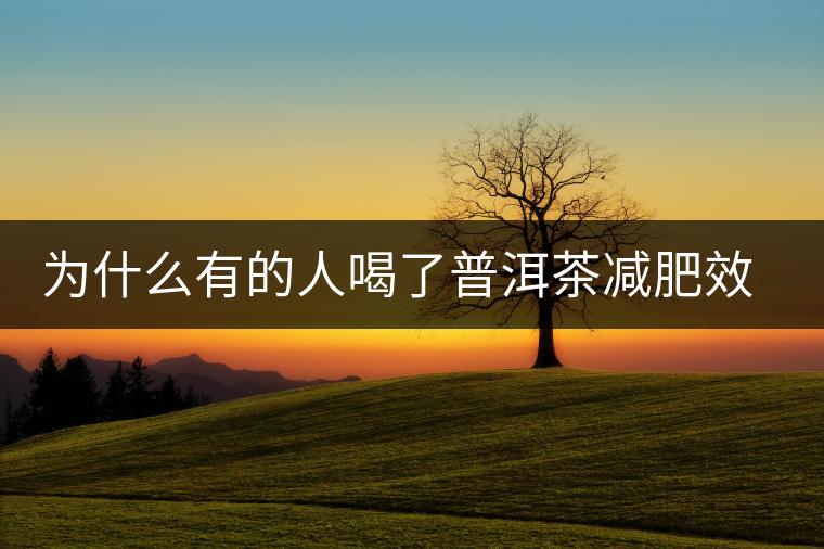 為什么有的人喝了普洱茶減肥效果不明顯呢？