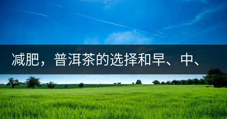 減肥，普洱茶的選擇和早、中、晚的喝法