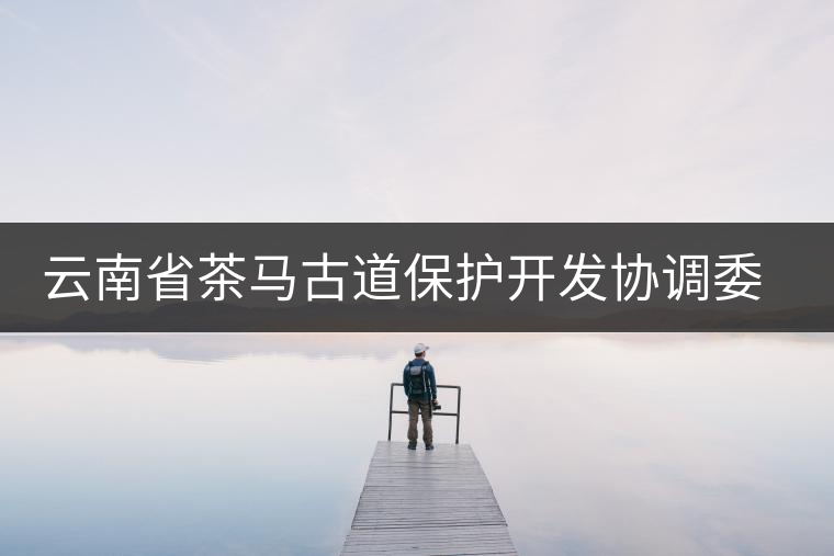 云南省茶馬古道保護(hù)開發(fā)協(xié)調(diào)委員會(huì)成立