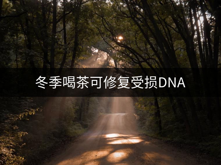 冬季喝茶可修復受損DNA