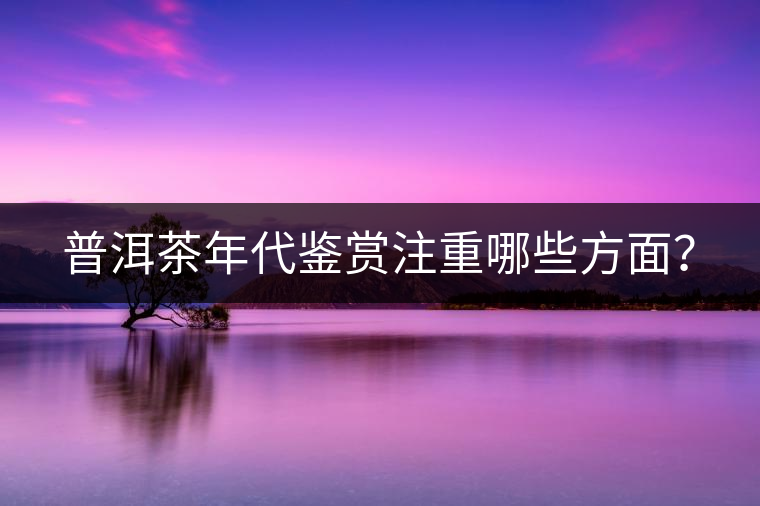 普洱茶年代鑒賞注重哪些方面？