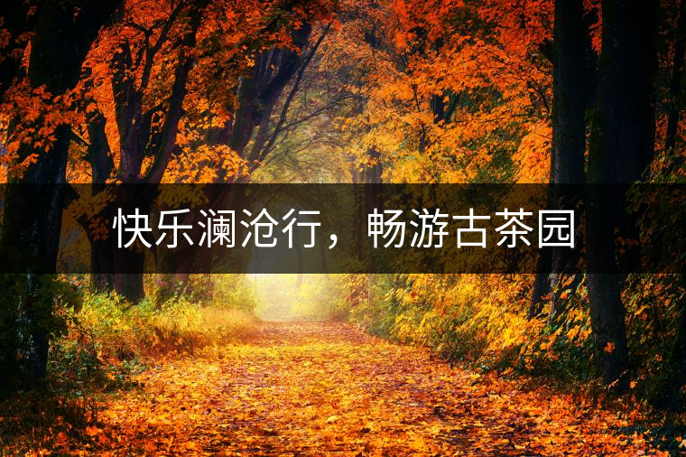 快樂瀾滄行，暢游古茶園