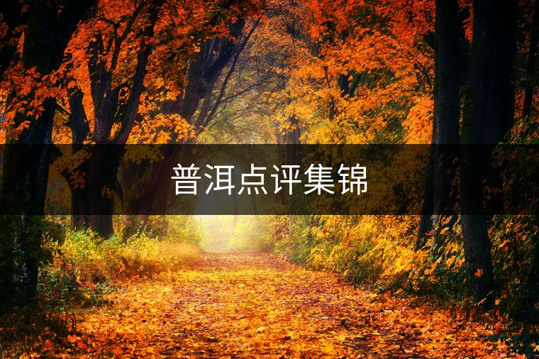 普洱點(diǎn)評集錦