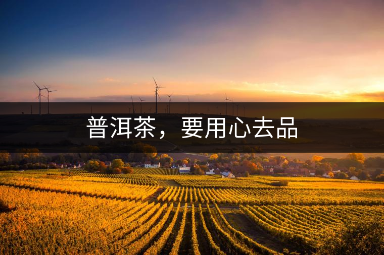 普洱茶，要用心去品