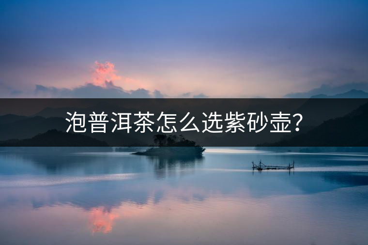 泡普洱茶怎么選紫砂壺？