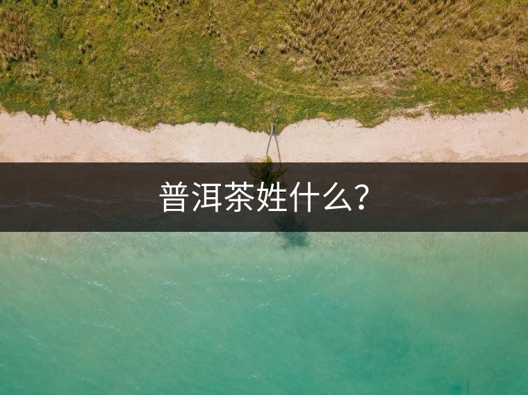普洱茶姓什么？