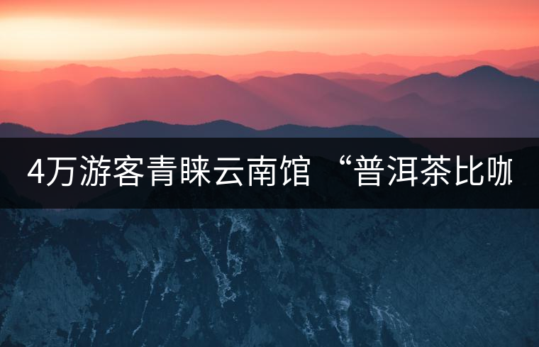 4萬(wàn)游客青睞云南館 “普洱茶比咖啡good”