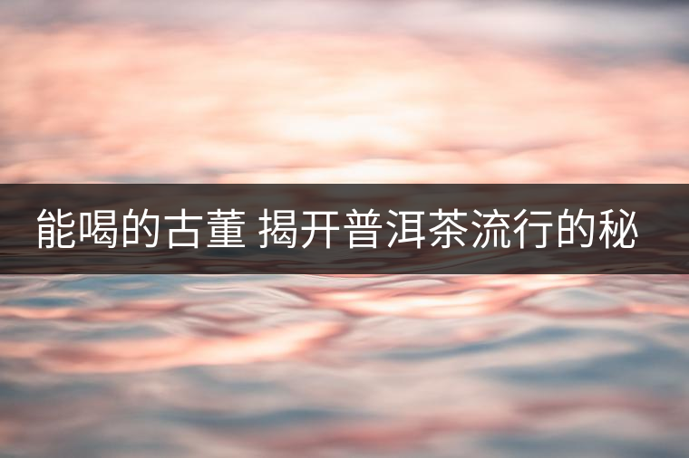 能喝的古董 揭開普洱茶流行的秘密 能喝的古董 揭開普洱茶流行的秘密