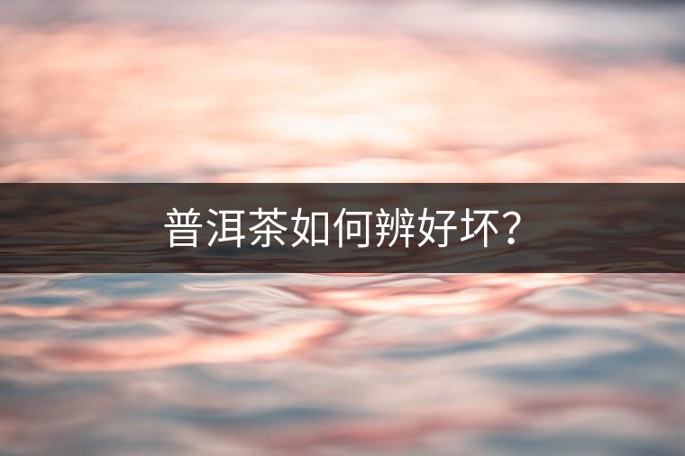 普洱茶如何辨好壞？