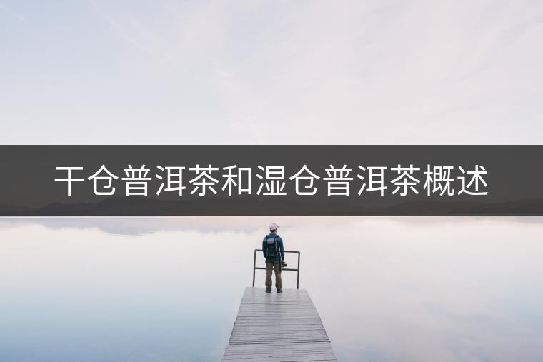 干倉(cāng)普洱茶和濕倉(cāng)普洱茶概述 干倉(cāng)普洱茶和濕倉(cāng)普洱茶概述