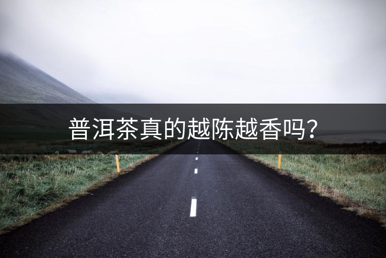 普洱茶真的越陳越香嗎？