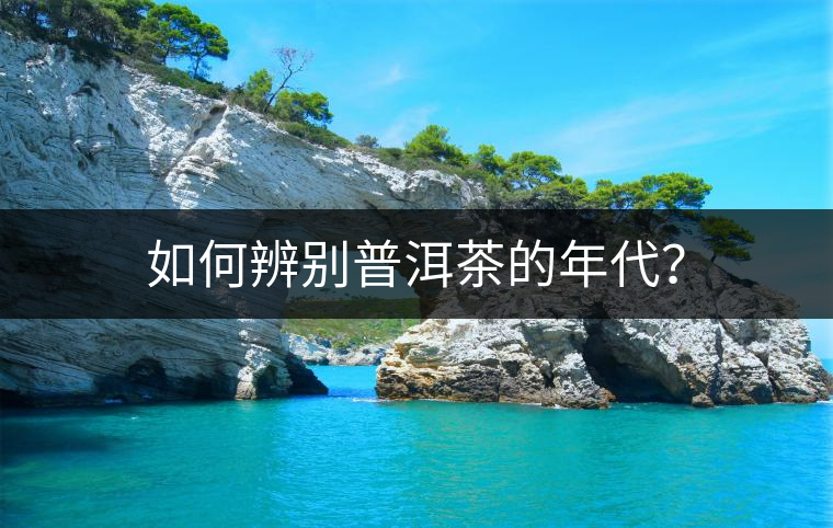 如何辨別普洱茶的年代？