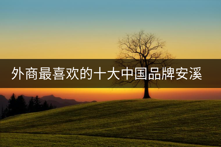 外商最喜歡的十大中國品牌安溪鐵觀音位居三甲