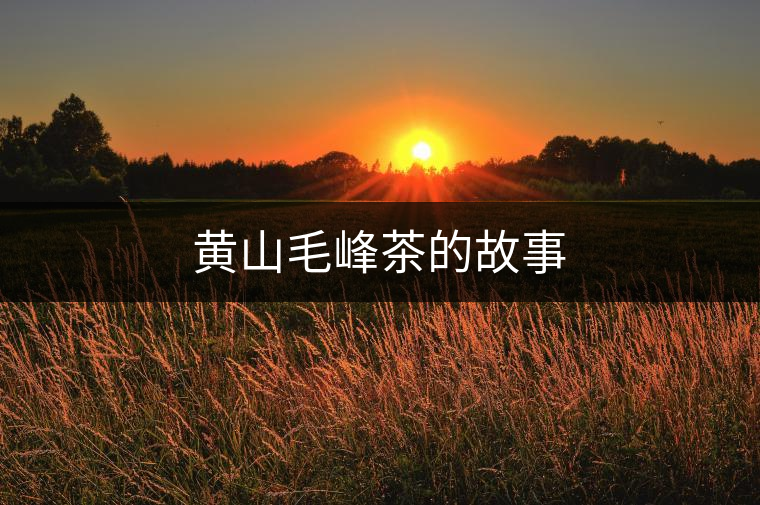 黃山毛峰茶的故事