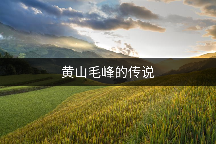 黃山毛峰的傳說(shuō) 黃山毛峰的傳說(shuō)