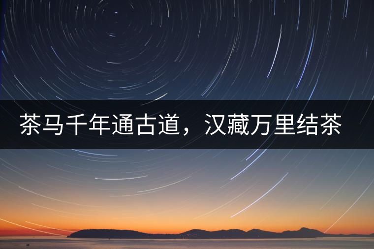 茶馬千年通古道，漢藏萬里結(jié)茶緣