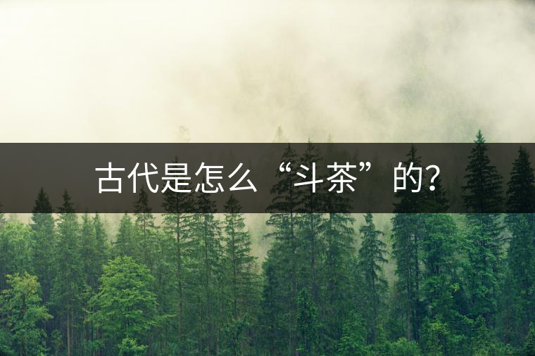 古代是怎么“斗茶”的？