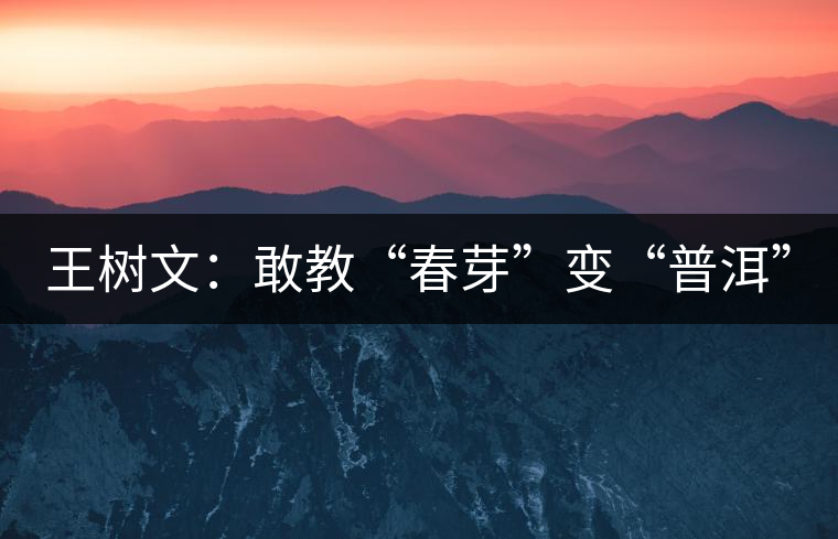 王樹文：敢教“春芽”變“普洱”