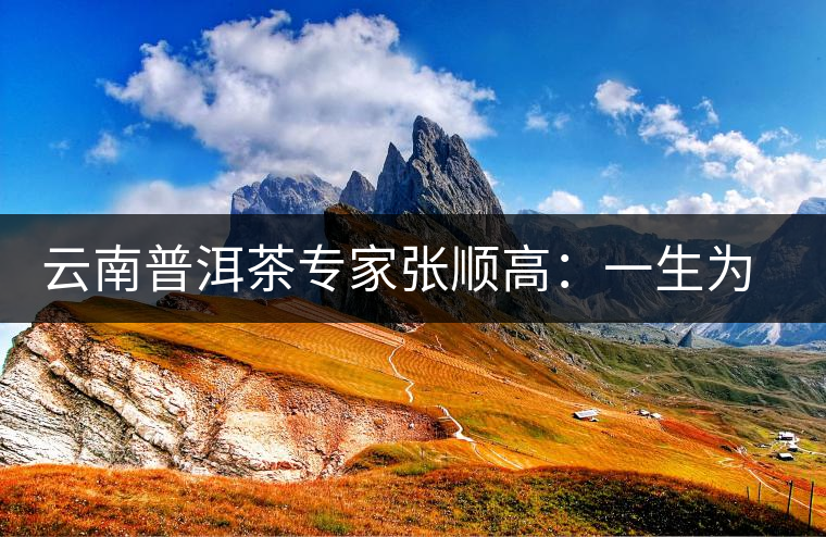 云南普洱茶專家張順高:一生為茶付出 云南普洱茶專家張順高:一生為茶付出